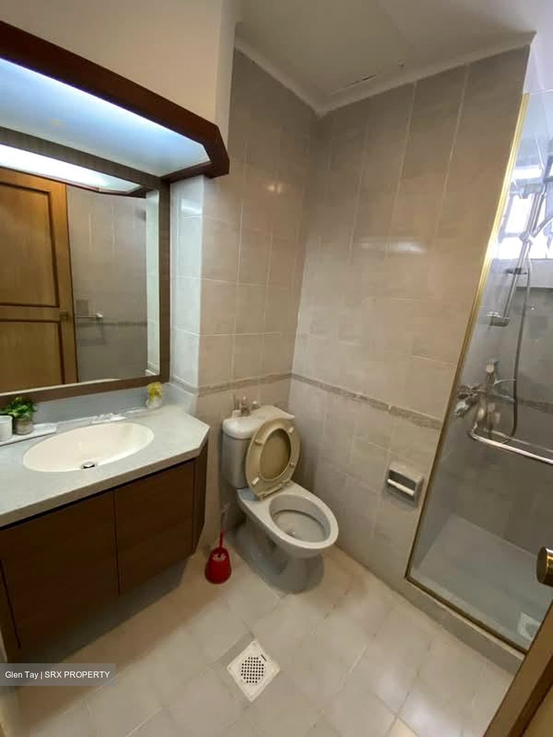 Tanglin Park (D10), Condominium #589351461